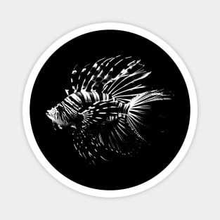 Lion Fish Vintage Magnet